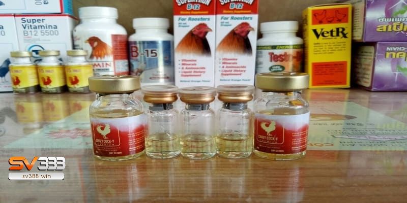 Thuốc tăng lực cho gà đá là gì?