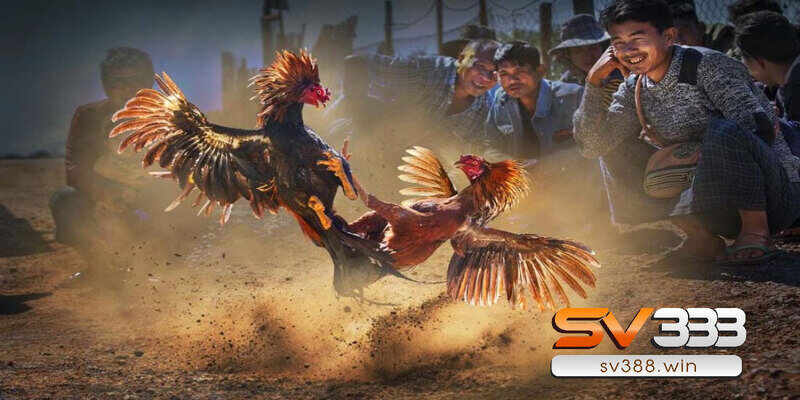 Đăng Ký SV388 1 Những lưu ý trước khi tạo tài khoản SV388