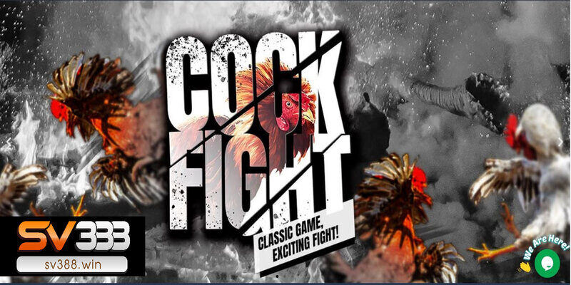 Đăng Ký SV388 3 Những mẹo khi tạo tài khoản đá gà SV388