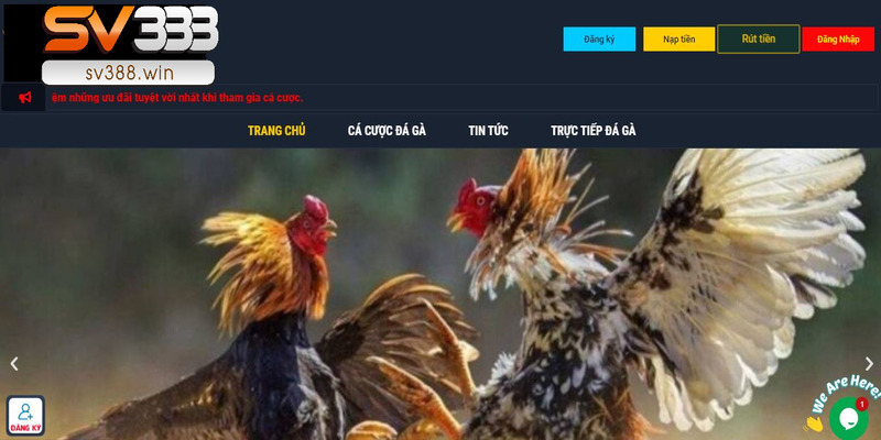 Nguyên nhân đăng nhập SV388 không thành công?