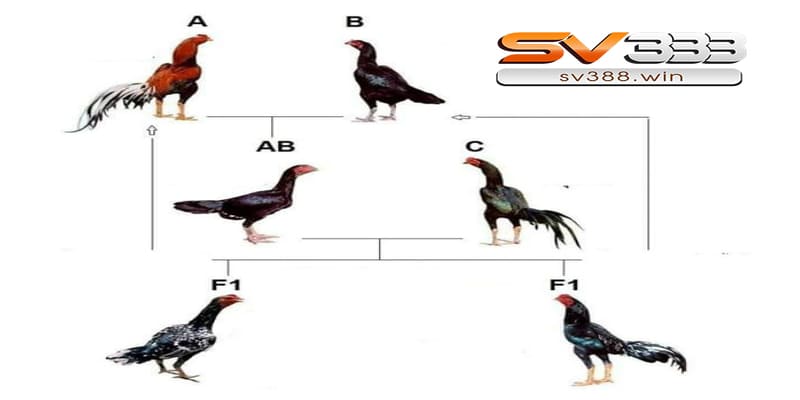 Kỹ thuật lai cận huyết sâu