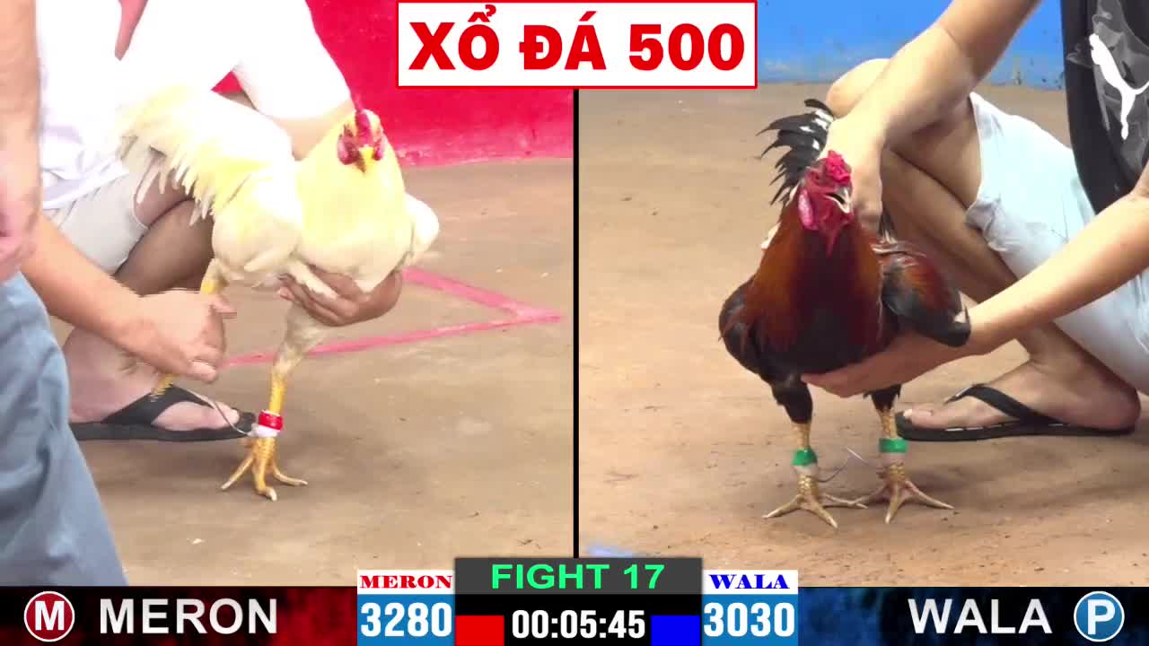 Trận đấu 500 triệu giữa Phát Cà Mau và An Trường Võ