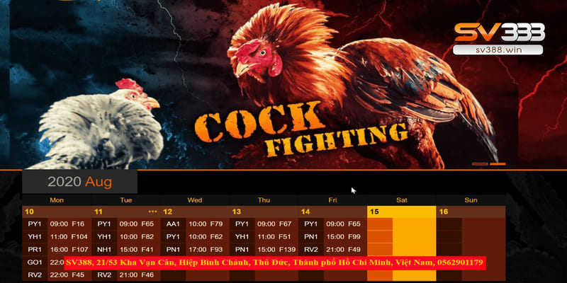 Trang S128 đá gà mang đến nhiều trận đấu kịch tính
