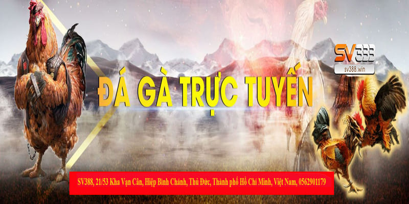 Đăng ký tài khoản xem trực tuyến đá gà