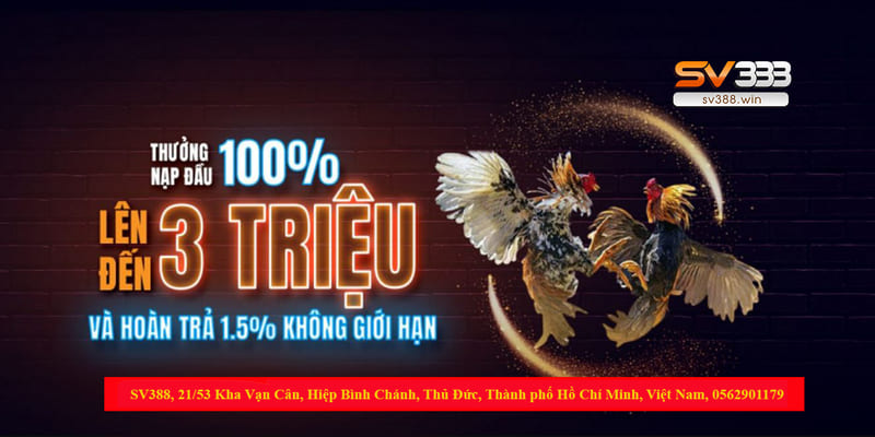 Nạp tiền vào tài khoản hội viên đá gà S128