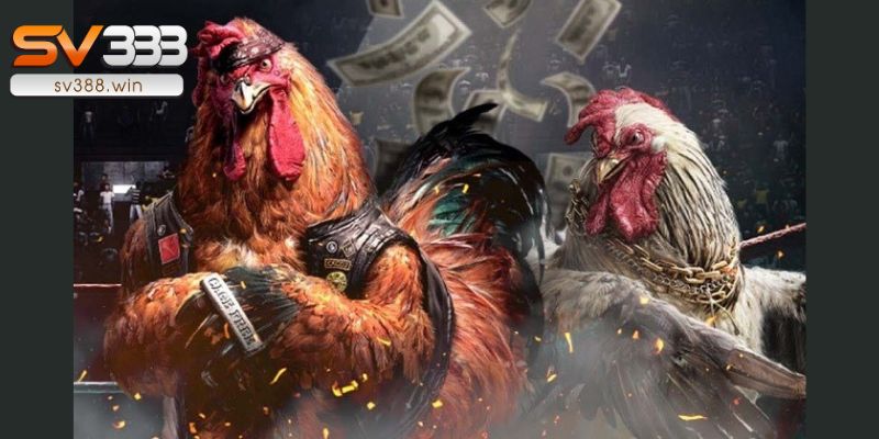 Tải trang đá gà trực tiếp