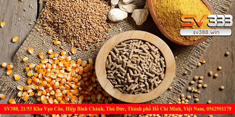 Các loại thức ăn cho gà chọi chứa tinh bột