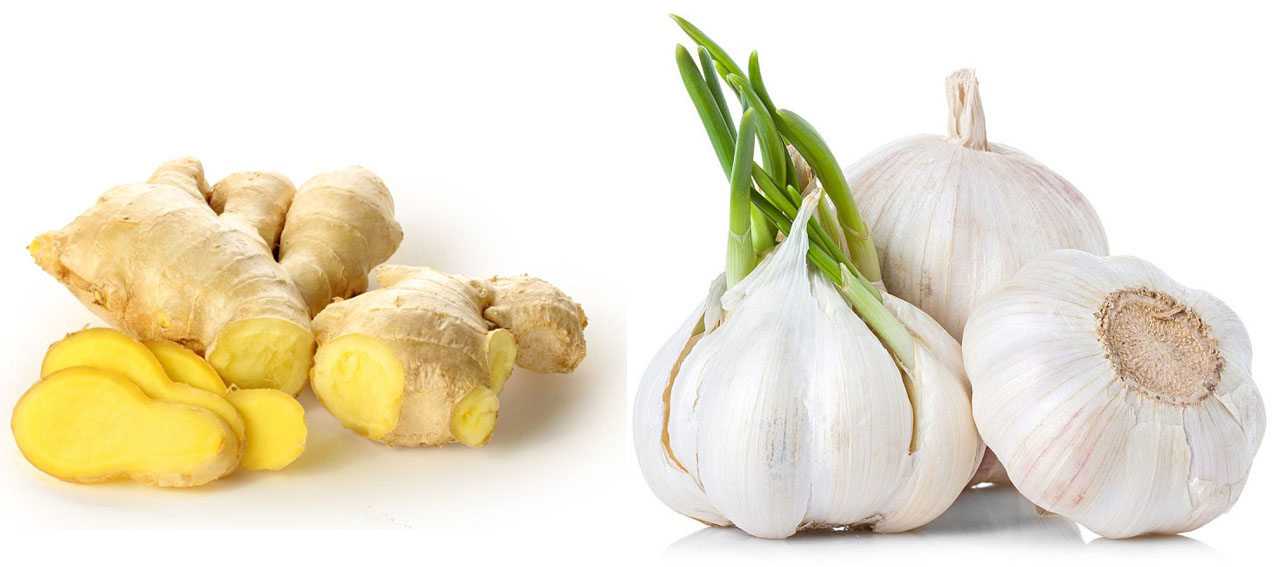 Thảo dược dân gian